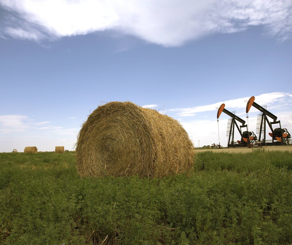 Oil pump jacks in a farm field