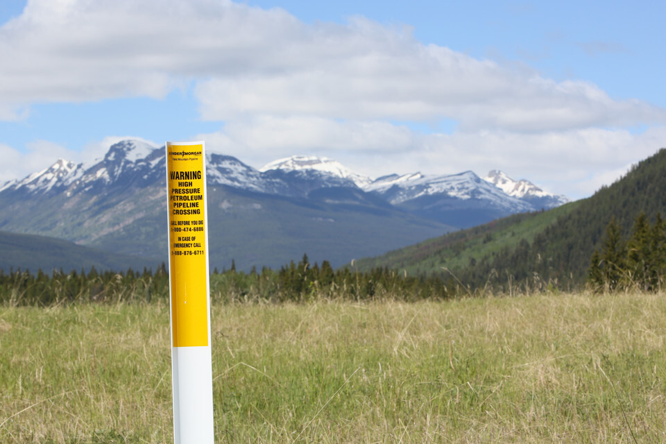 a marker for the TMX pipeline