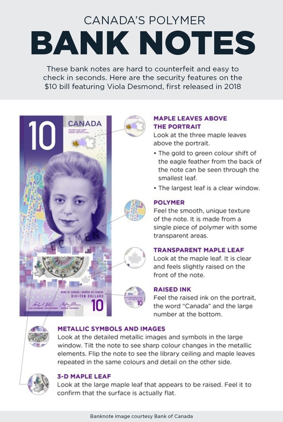 How are polymer bills made?